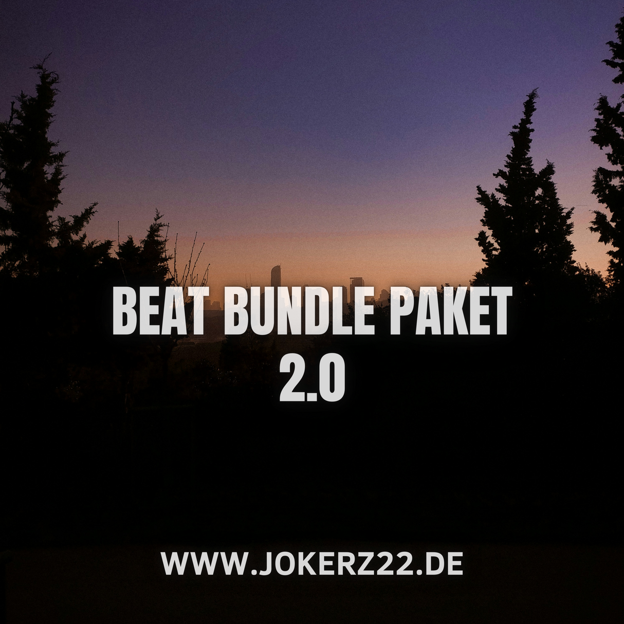 Beat Bundle Paket "gemischte Künstler" 2.0